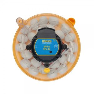 Brinsea Maxi 2 ECO inkubatorius
