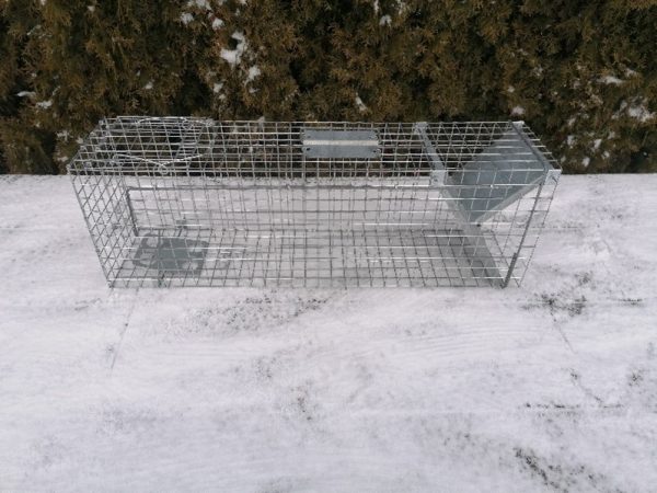 Spąstai kiaunėms, šeškams, audinėms, katėms 82x20x27 cm. - Image 4