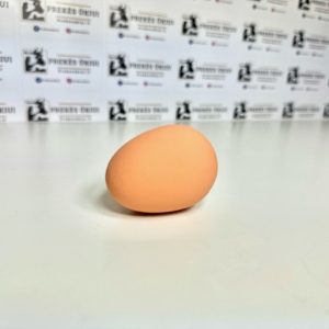 Kokybiškas netikras, guminis kiaušinis vištoms, rudas, 56x44mm, 65g
