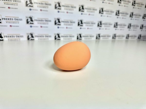 Kokybiškas netikras, guminis kiaušinis vištoms, rudas, 56x44mm, 65g - Image 2