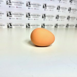 Kokybiškas netikras, guminis kiaušinis vištoms, rudas, 56x44mm, 65g