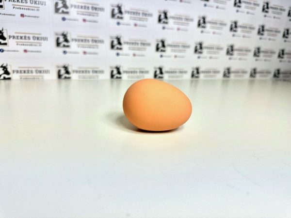 Kokybiškas netikras, guminis kiaušinis vištoms, rudas, 56x44mm, 65g