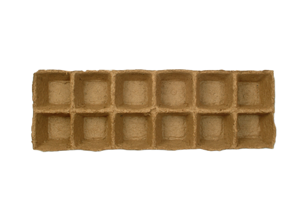DURPINĖ DAIGYKLA 8CM 12VNT - Image 2