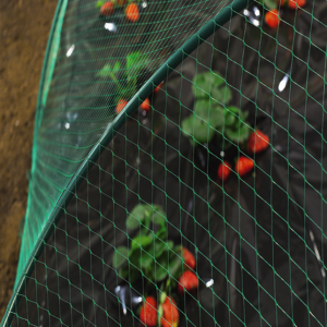 TINKLAS NUO PAUKŠČIŲ 4×5 M