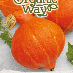 MOLIŪGAI HOKKAIDO ORANGE