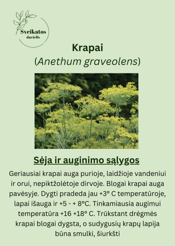 Sveikatos darželio trečiasis rinkinys - vaistažolių ir prieskoninių augalų sėklų rinkinys - Image 3