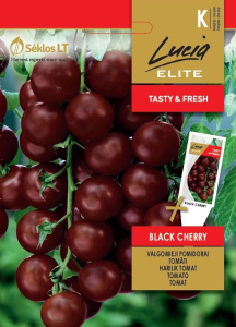 Pomidorai Black cherry
