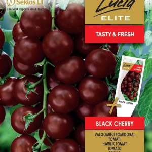 POMIDORAI VALGOMIEJI BLACK CHERRY
