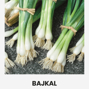 DAUGIAMEČIAI ČESNAKAI TUŠČIALAIŠKIAI BAJKAL