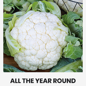 KOPŪSTAI ŽIEDINIAI ALL THE YEAR ROUND