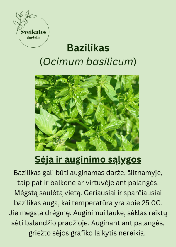 Sveikatos darželio antrasis rinkinys - vaistažolių ir prieskoninių augalų sėklų rinkinys - Image 3