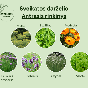 Sveikatos darželio antrasis rinkinys – vaistažolių ir prieskoninių augalų sėklų rinkinys