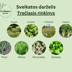 Sveikatos darželio trečiasis rinkinys – vaistažolių ir prieskoninių augalų sėklų rinkinys