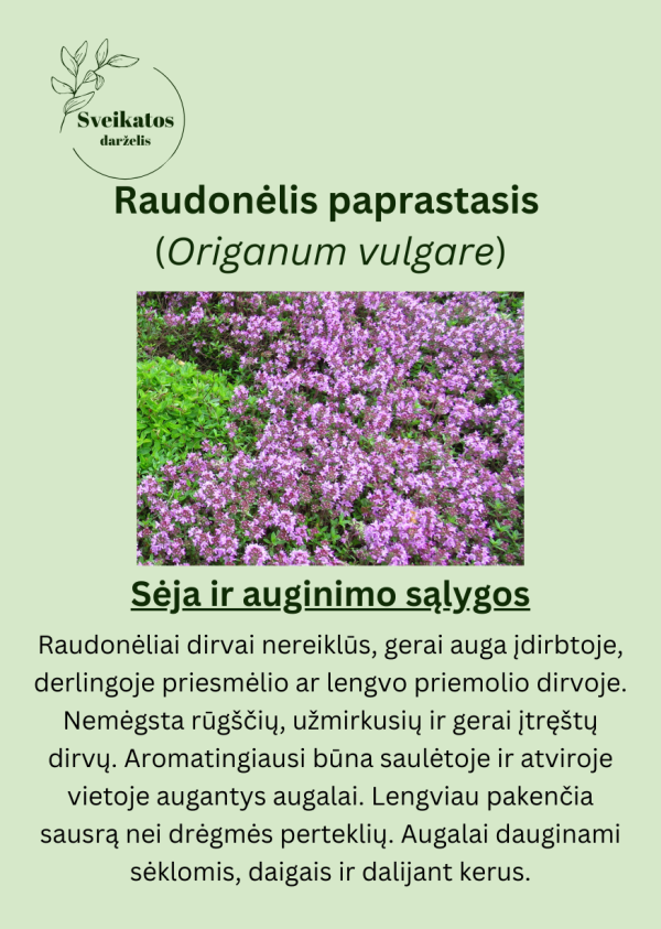 Sveikatos darželio pirmasis rinkinys - vaistažolių ir prieskoninių augalų sėklų rinkinys - Image 6