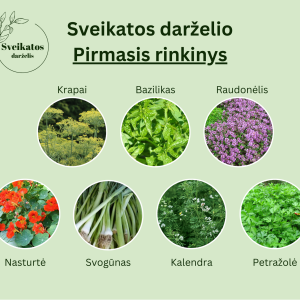 Sveikatos darželio pirmasis rinkinys – vaistažolių ir prieskoninių augalų sėklų rinkinys