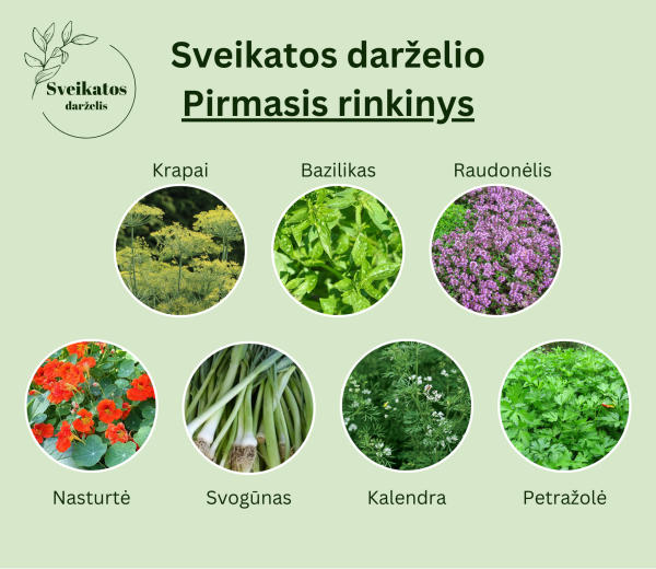 Sveikatos darželio pirmasis rinkinys - vaistažolių ir prieskoninių augalų sėklų rinkinys