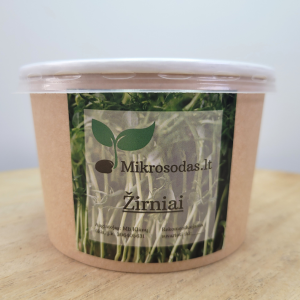 Vienkartinis žirnių daigų auginimo komplektas