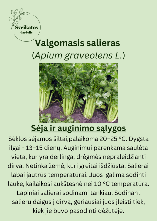 Sveikatos darželio trečiasis rinkinys - vaistažolių ir prieskoninių augalų sėklų rinkinys - Image 10