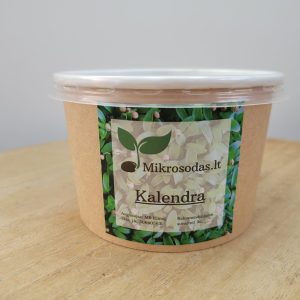 Vienkartinis kalendros daigų auginimo komplektas