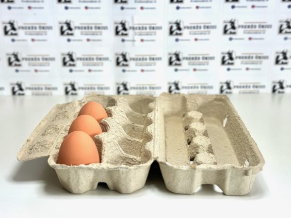 XL vištų, ančių ar žąsų kiaušinių dėklai, 120vnt. - Image 2
