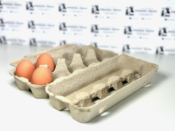 XL vištų, ančių ar žąsų kiaušinių dėklai, 120vnt. - Image 3