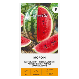 Arbūzų sėklos, MORO H