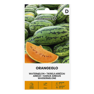 Geltonųjų arbūzų sėklos ORANGEGLO