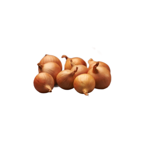 GOLDEN GOURMET SVOGŪNŲ SODINUKAI 22/44 0,5KG