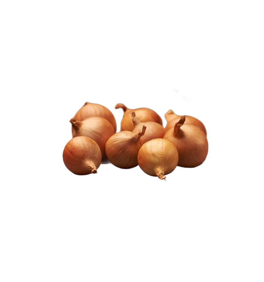 GOLDEN GOURMET SVOGŪNŲ SODINUKAI 22/44 0,5KG