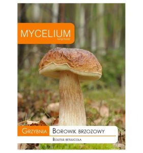 Grybiena, beržinis baravykas, 10g.