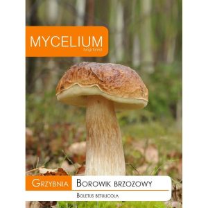 Grybiena, beržinis baravykas, 10g.