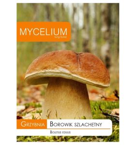 Grybiena, tikrinis baravykas, 10g.