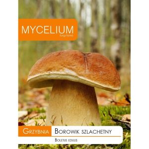 Grybiena, tikrinis baravykas, 10g.