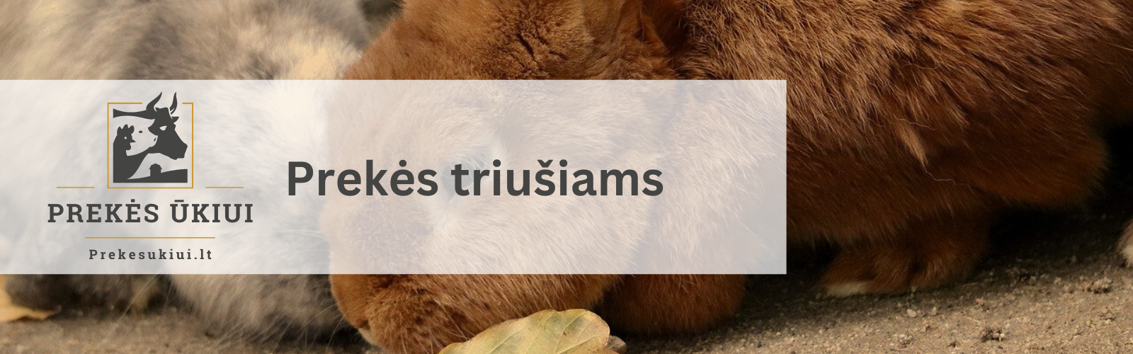Prekes-triusiams.png